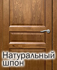 двери Ванмарк натуральный шпон